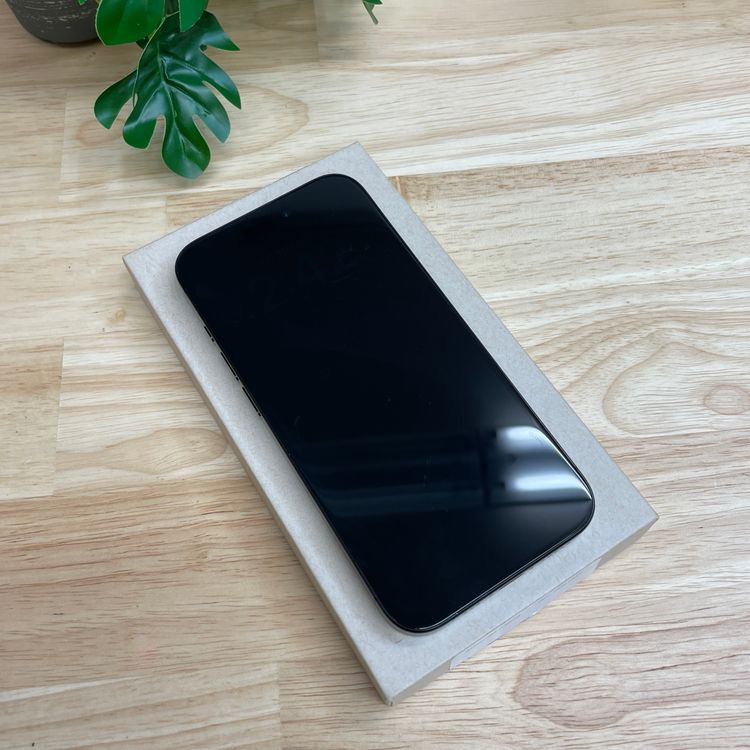 �Хåƥ�� 100% iPhone 15Pro 256GB �֥�å� ������ SIM�ե꡼����̵��