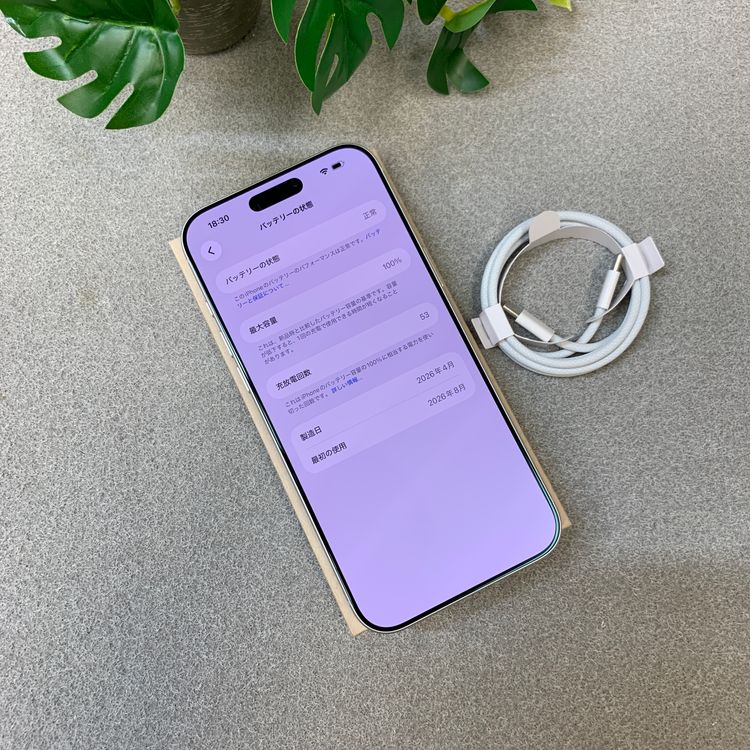 �Хåƥ꡼100% iPhone 17ProMax 256GB ����С������� SIM�ե꡼