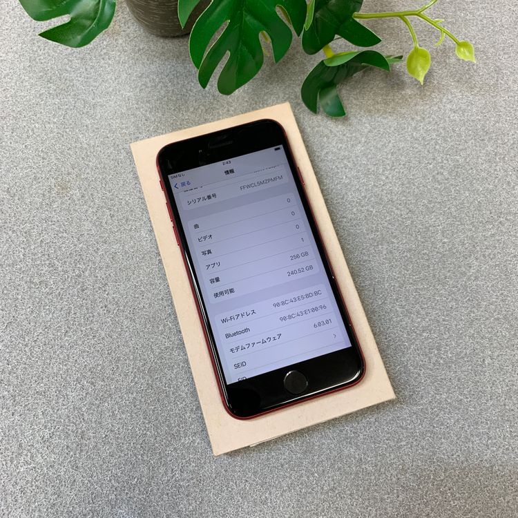 �Хåƥ꡼85% iPhone SE�裲���� 256Gb ��å� ������ SIM�ե꡼