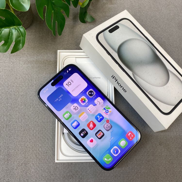 �Хåƥ꡼88% iPhone 15 256GB �֥�å� Apple�� SIM�ե꡼����̵��