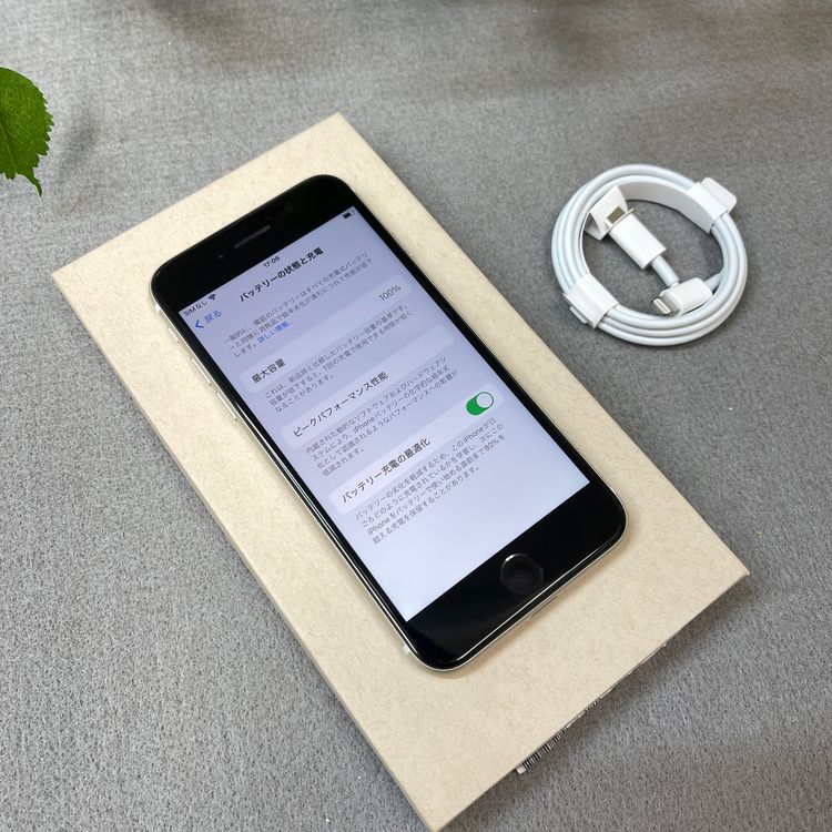 �Хåƥ꡼100% iPhone SE�裳���� 128GB �������饤�� ������SIM�ե꡼����̵��