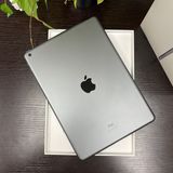 iPad(9) 64GB ڡ쥤 Wi-Fiǥ
