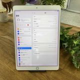 iPad Pro 10.5 256GB  WiFi ̵