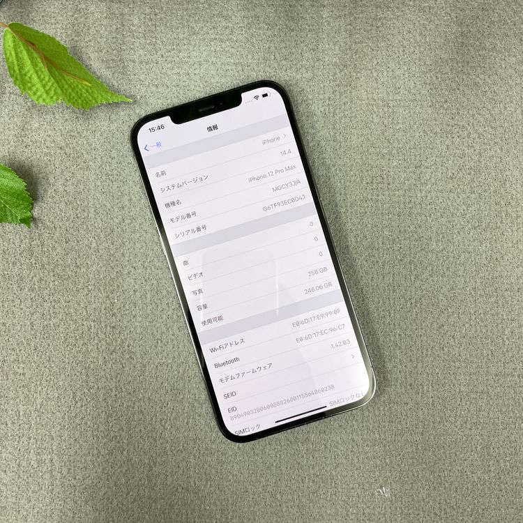 iPhone12 Pro Max 256Gb ����ե����� ����SIM�ե꡼ ����̵��