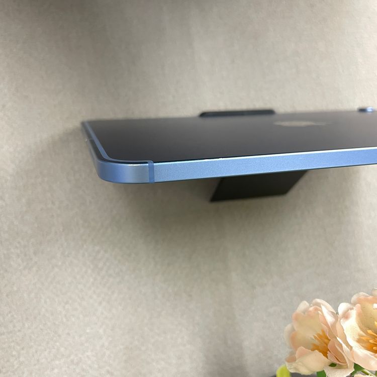 iPad(��10����) �֥롼 64GB Wi-Fi + Cellular��ǥ� ����̵��