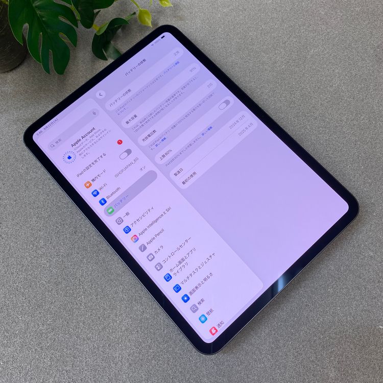 �Хåƥ꡼91�� iPad Pro M4 256 11����� �֥�å� WiFi��ǥ� ȯ��̵��