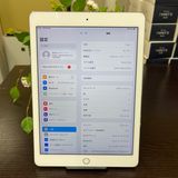 iPad Pro 9.7 256GB Wi-Fi + Cellularǥ SIMե꡼