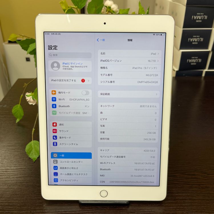 iPad Pro 9.7 256GB Wi-Fi + Cellularǥ SIMե꡼