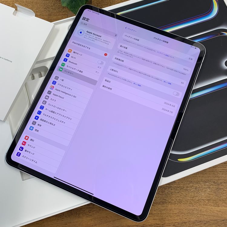 ����Ʊ�� iPad Pro M4 13����� 2TB WiFi + Cellular ����̵��
