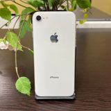 iPhone8  64GB С SIMե꡼ ̵