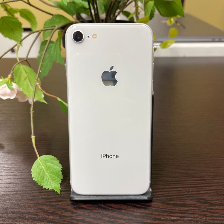 iPhone8  64GB С SIMե꡼ ̵