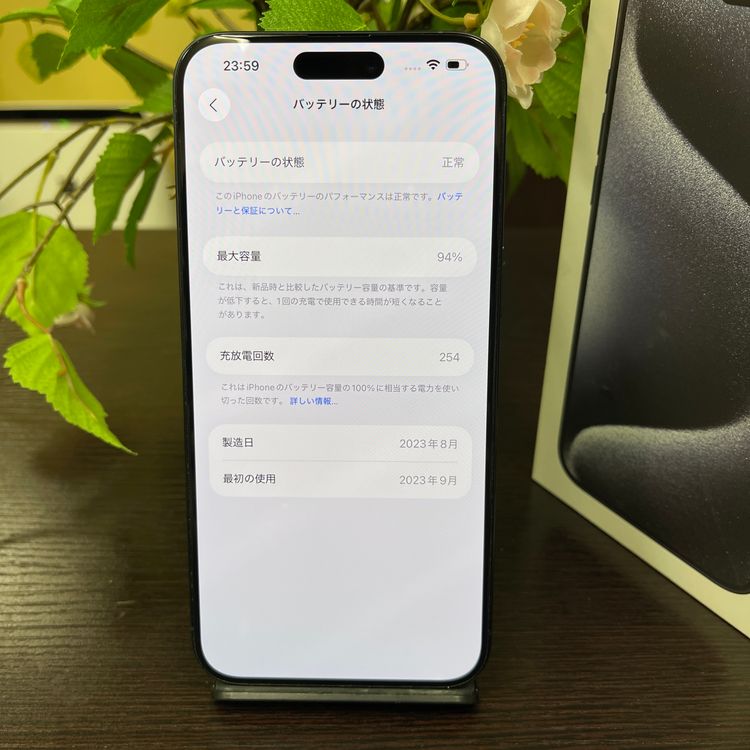 iPhone15ProMax 256Gb ֥롼  SIMե꡼̵