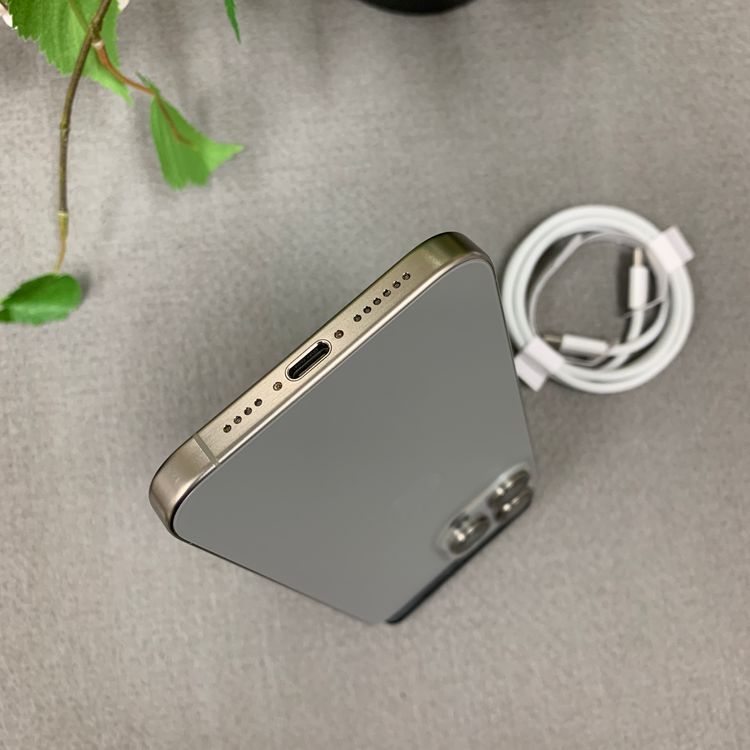 �Хåƥ꡼ 100% iPhone 15ProMax 1TB �ʥ����롡������SIM�ե꡼����̵��