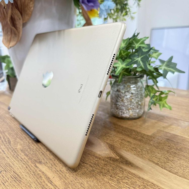 iPad Pro 10.5 256GB  WiFi ̵