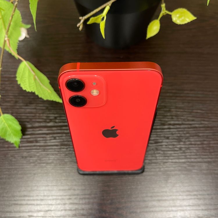 iPhone12Mini 128Gb å  SIMե꡼ ̵