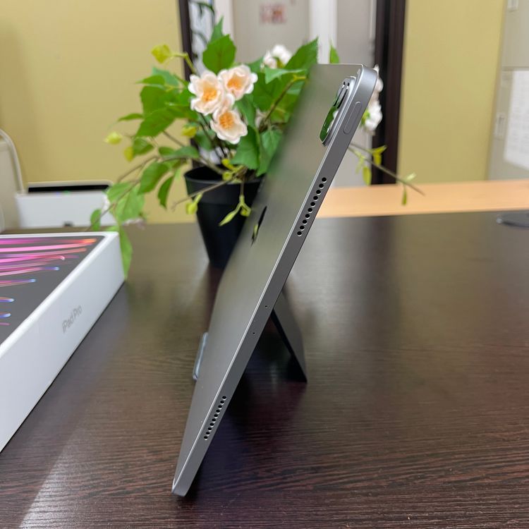 iPad Pro 12.96M2 å 256GB Wi-Fiǥ