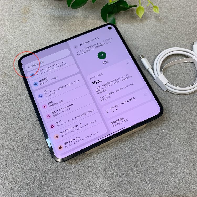 �Хåƥ꡼ 100%Google Pixel 9Pro Fold  ����SIM�ե꡼ ����̵��
