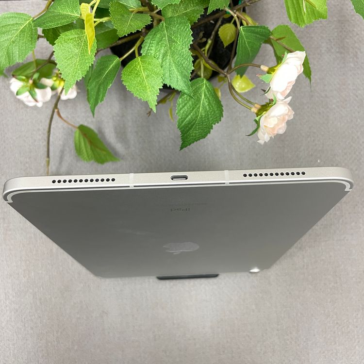 ����Ʊ�� iPad(��10����) 64GB Wi-Fi + Cellular��ǥ� ����̵��