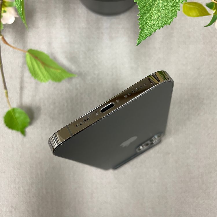 iPhone12 Pro Max 256Gb ����ե����� ����SIM�ե꡼ ����̵��