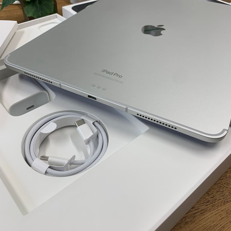 ����Ʊ�� iPad Pro M4 13����� 2TB WiFi + Cellular ����̵��