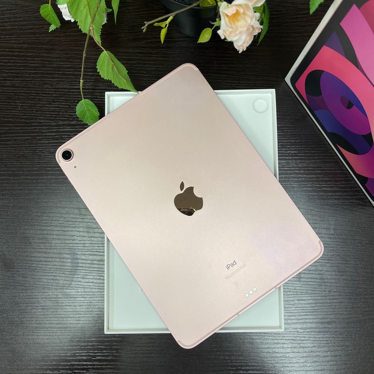iPad Air(4) 256GB ԥ  Wi-Fi + Cellularǥ