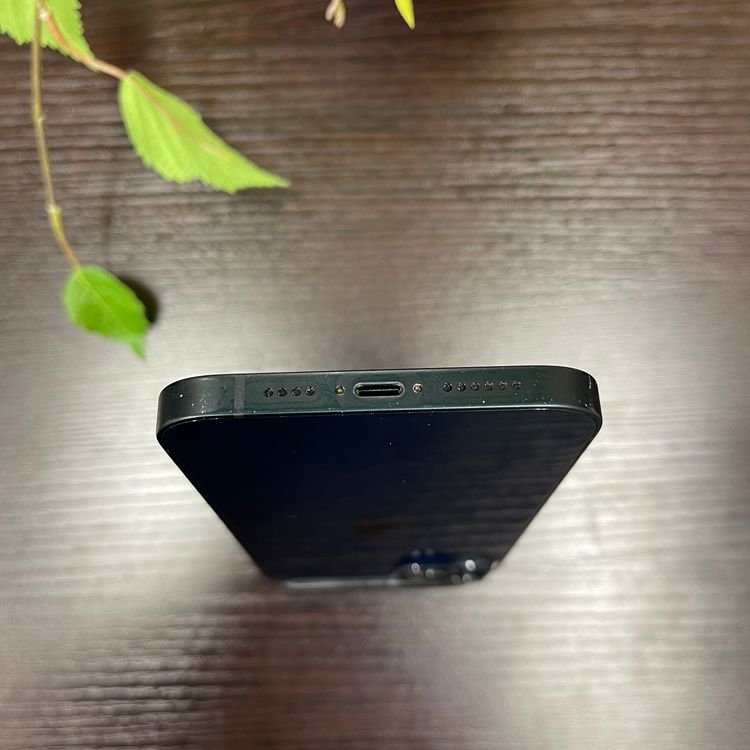 iPhone14 Plus 256GB ֥롼  SIMե꡼ ̵