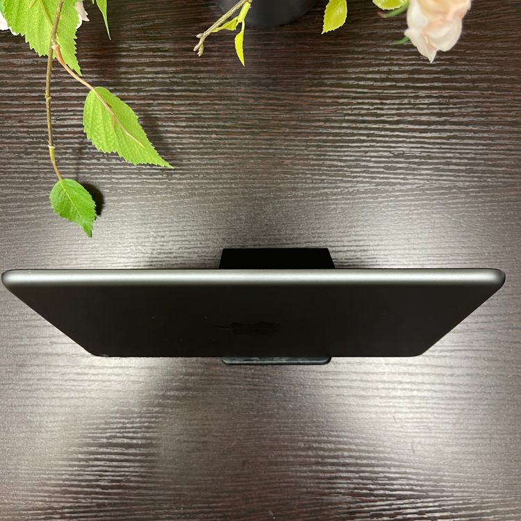 iPad mini 5 ڡ쥤 64Gb Wi-Fiǥ ̵