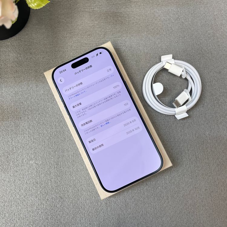 �Хåƥ꡼ 100% iPhone 17Pro 256GB �֥롼 ������SIM�ե꡼����̵��