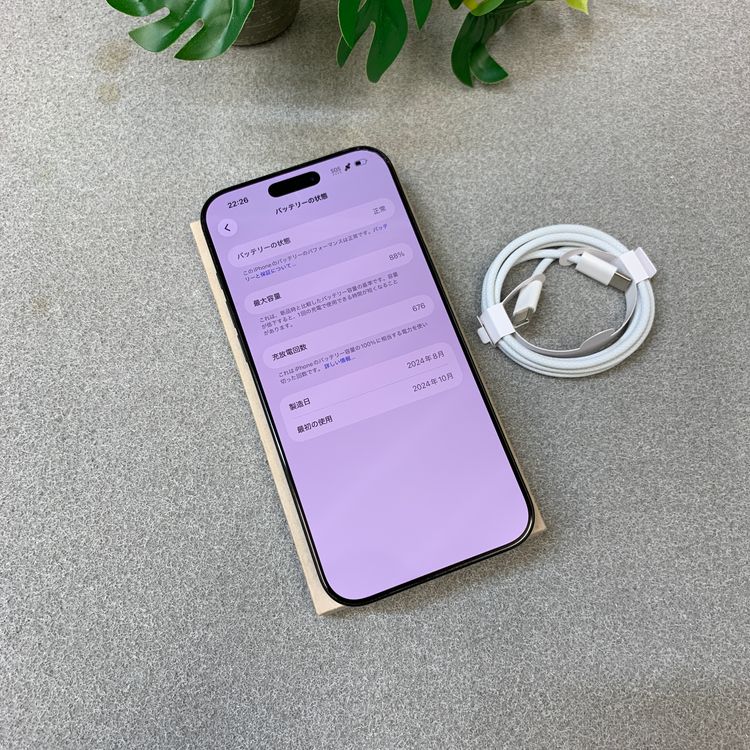 �Хåƥ꡼ 88% 16ProMax 256GB �֥�å� ������SIM�ե꡼����̵��