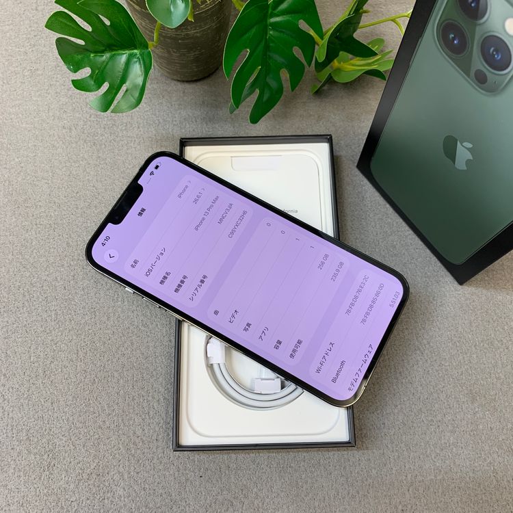 �Хåƥ꡼ 100�� iPhone 13ProMax 256GB ����SIM�ե꡼ ����̵��