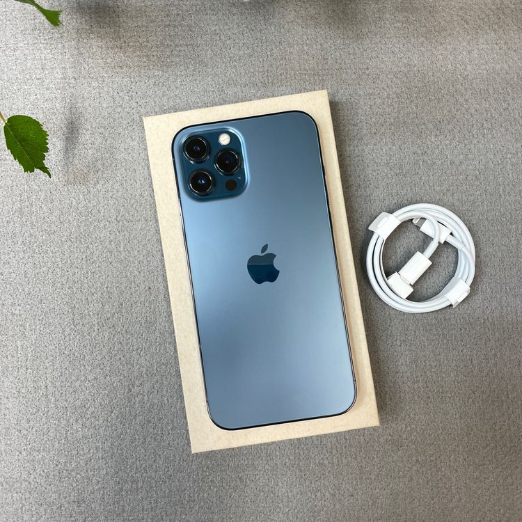 iPhone12 Pro Max 256Gb �ѥ��ե��å��֥롼 ����SIM�ե꡼ ����̵��