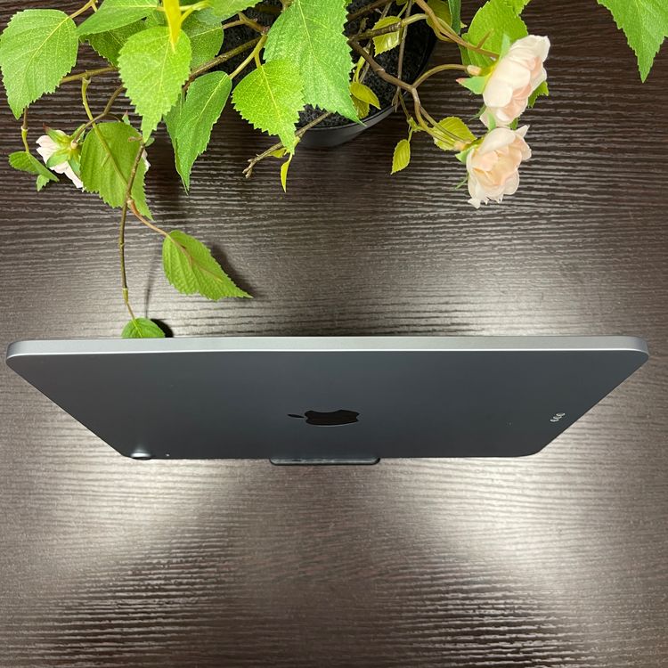 iPad Air(4) 256GB ֥롼 Wi-Fiǥ