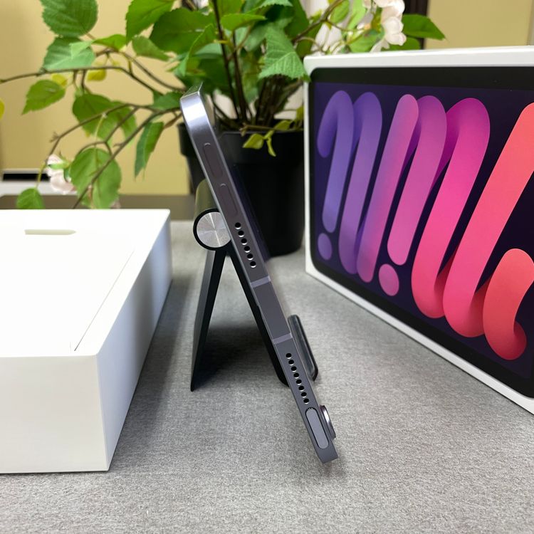 iPad mini 6 ѡץ 256Gb Wi-Fi + Cellularǥ