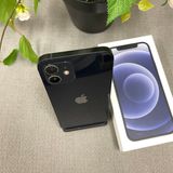 iPhone 12  ֥å 64GB SIMե꡼ ̵