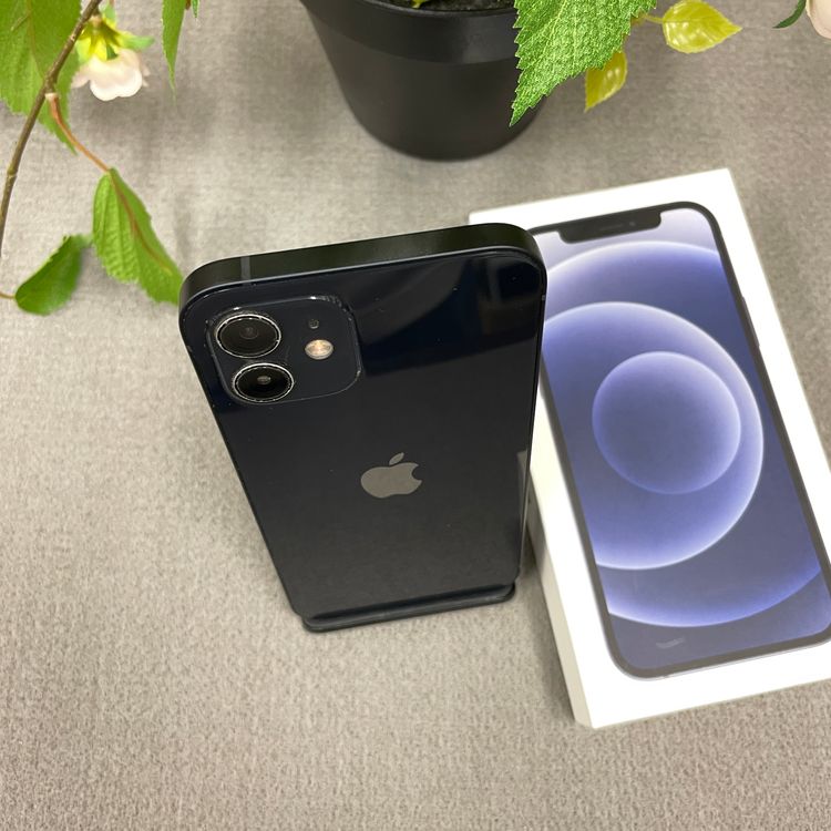 iPhone 12  ֥å 64GB SIMե꡼ ̵