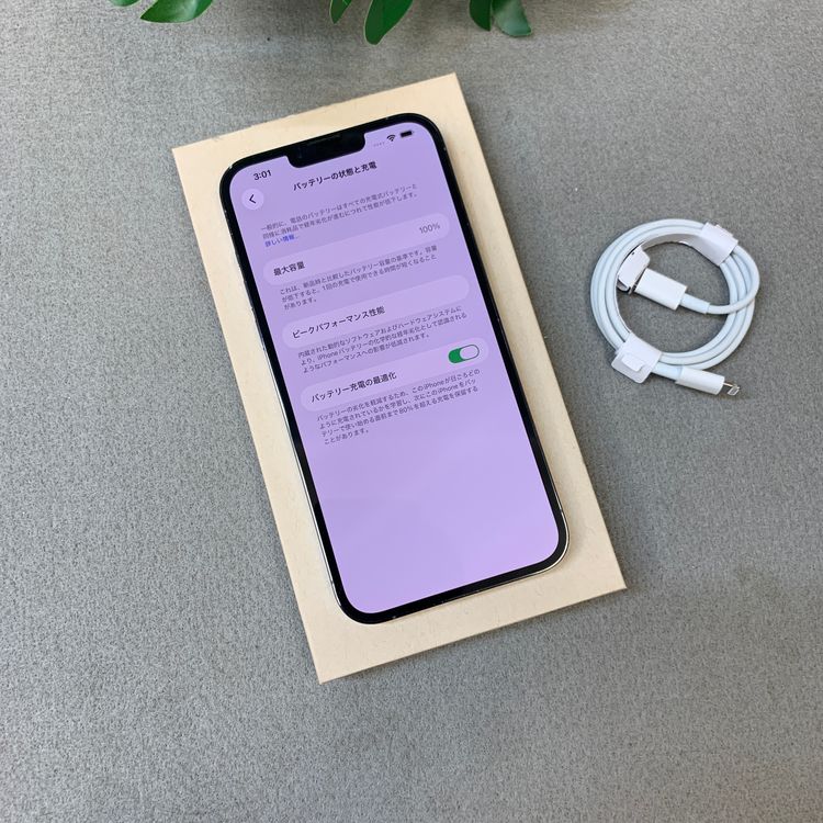 �Хåƥ꡼ 100�� iPhone 13 ProMax 1TB ����SIM�ե꡼ ����̵��