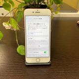 iPhone 7 256GB å  SIMե꡼ ̵