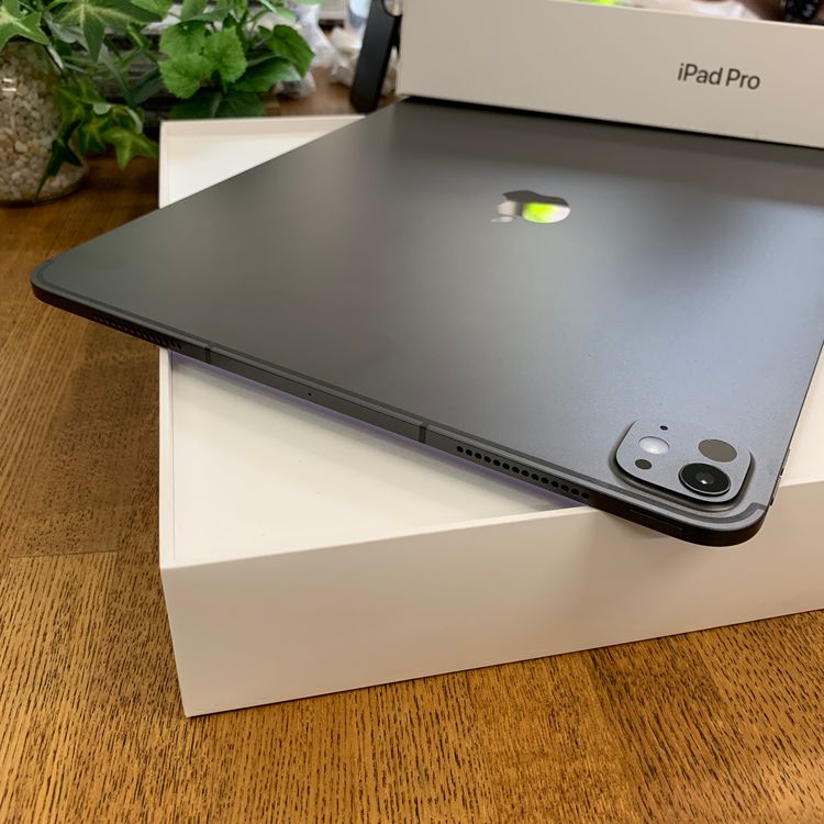 ����Ʊ�� iPad Pro M4 13����� 256GB WiFi + Cellular ����̵��