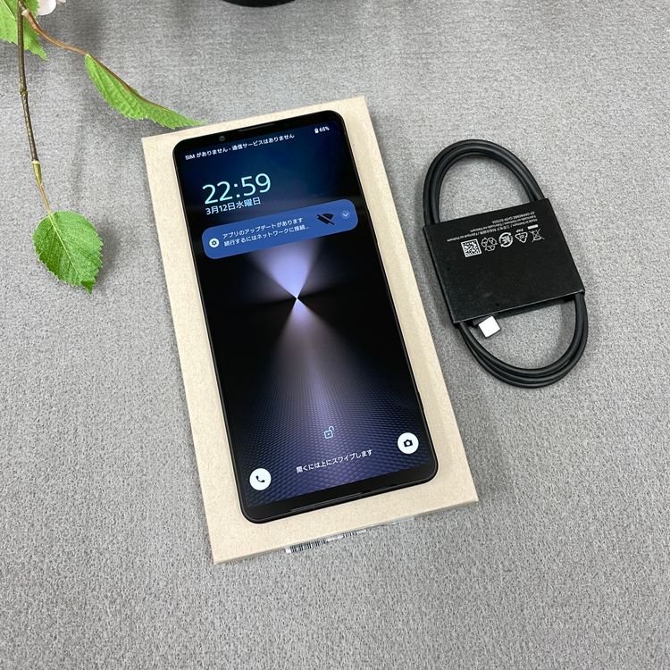 Xperia 1VI SOG13 256GB �֥�å� ������SIM�ե꡼ ����̵��