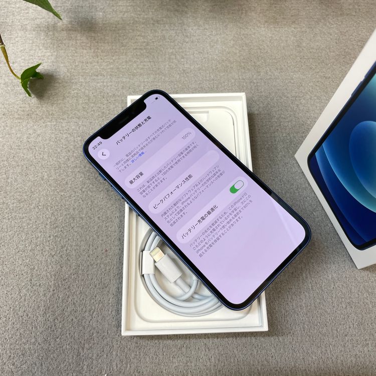 ����Ʊ�� iPhone12 mini 128GB �֥롼 ������ SIM�ե꡼ ����̵��