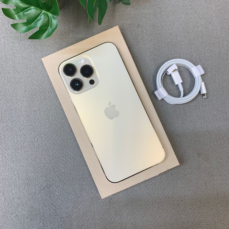 �Хåƥ꡼ 100�� iPhone14 ProMax 1TB ����SIM�ե꡼ ����̵��