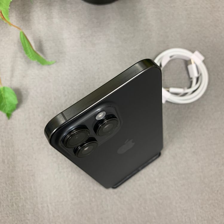 iPhone 15ProMax 256GB �֥�å� ������ SIM�ե꡼ ����̵��