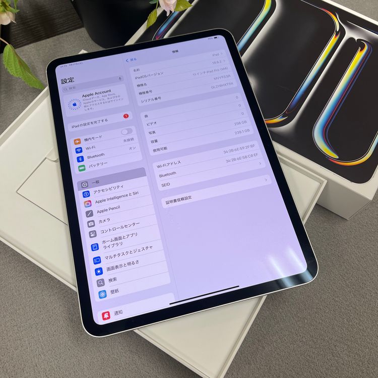 iPad Pro 11����� M4���å� 256GB ����С� WiFi�ǥ�ǥ� ����̵��