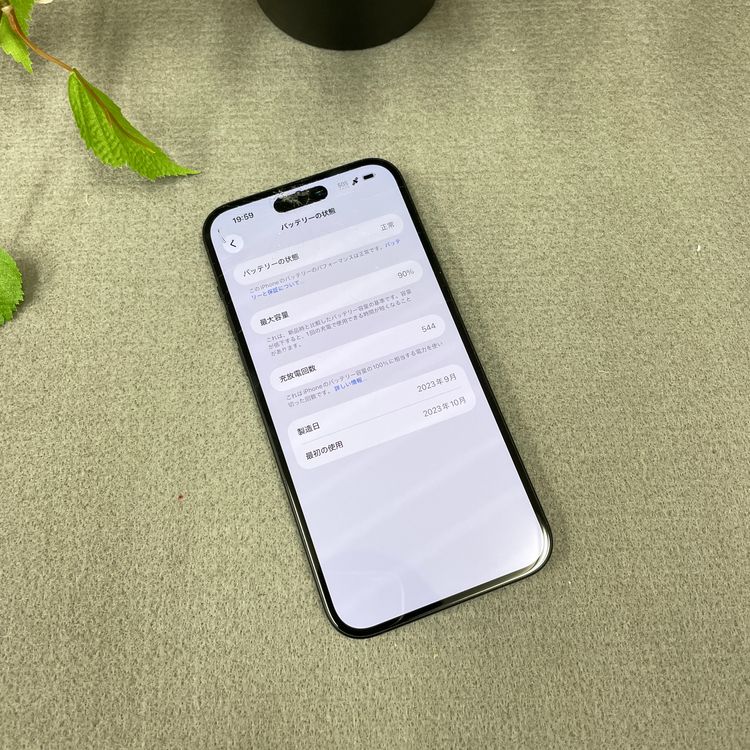 iPhone 15Plus 256GB �֥�å� ������ SIM�ե꡼����̵��