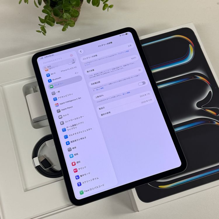 ����Ʊ�� iPad Pro M5 11����� 256GB 2025ǯ Wi-Fi��ǥ� ����̵��