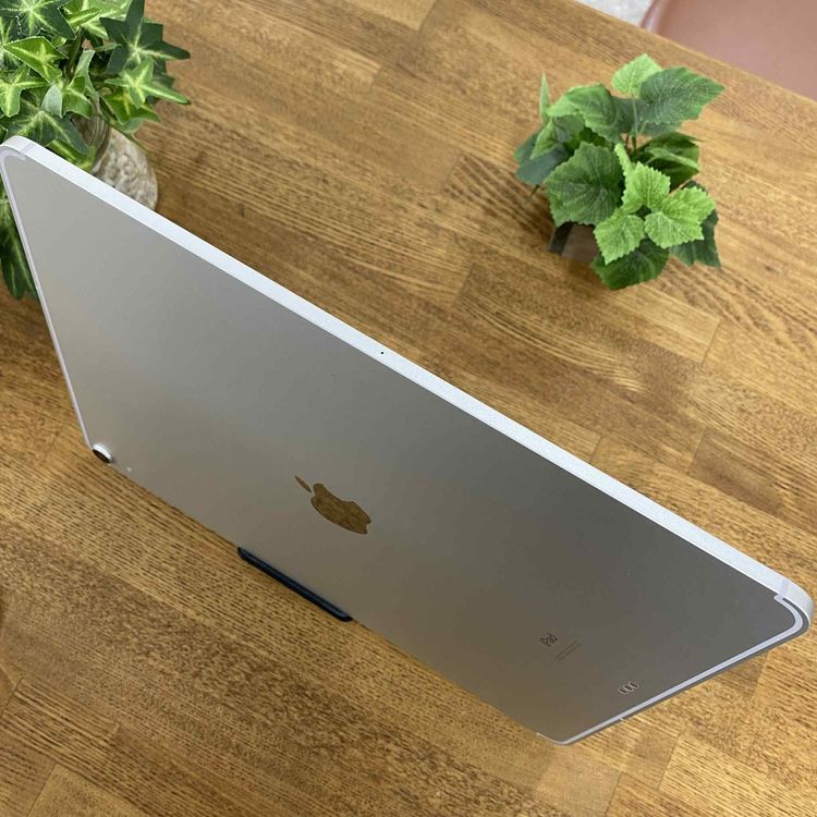 iPad Pro裳 12,9 256GB СWiFi Cellular ̵