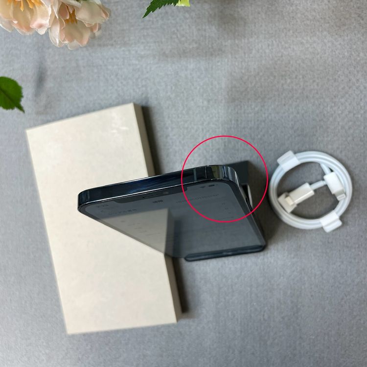 iPhone12 Pro Max 256Gb �ѥ��ե��å��֥롼 ����SIM�ե꡼ ����̵��