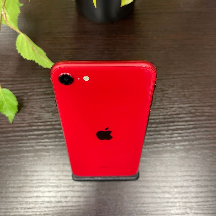 iPhone SE(裲) å 128GB SIMե꡼ ̵