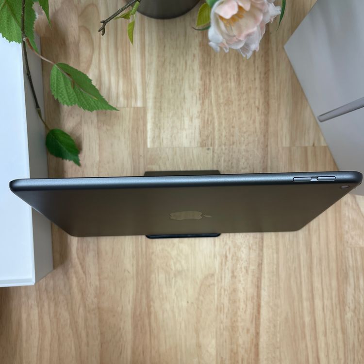 iPad mini 5 ڡ쥤 64Gb Wi-Fiǥ ̵