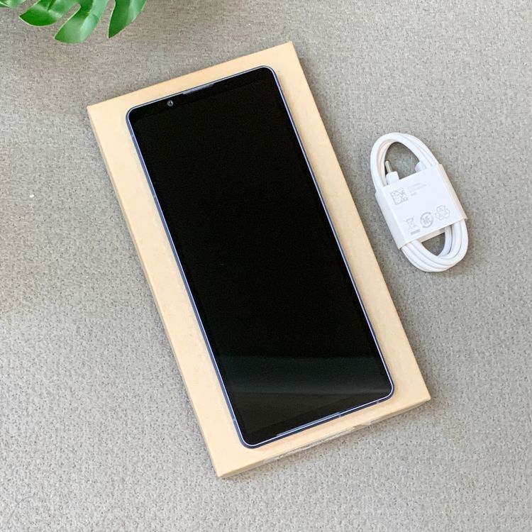 Xperia 5 V SO-53D 128GB �֥롼����SIM�ե꡼ ����̵��